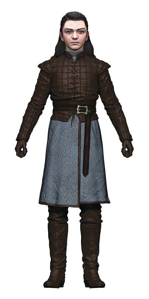 Game Of Thrones 6 Inch Action Figure Series 1 - Arya Stark